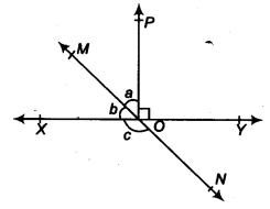 NCERT Solutions for Class 9 Maths Chapter 4 Lines ex1 2